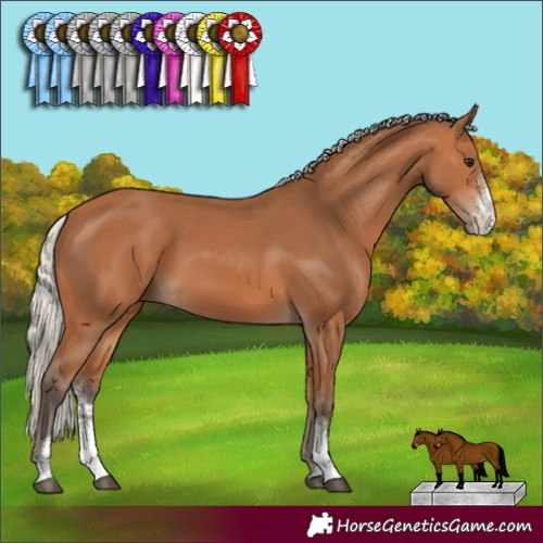 Horse Color:Silver Bay Sabino 
