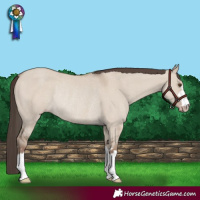 Horse Color:Classic Champagne Dun Rabicano 