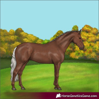 Horse Color:Silver Black 