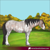 Horse Color:Brown Roan Sabino Varnish 