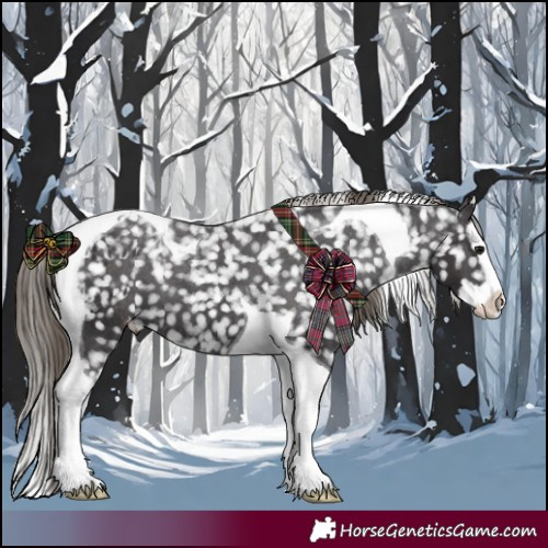 Horse Color:Smoky Black Splash Tobiano Appaloosa 