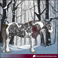Horse Color:Smoky Black Splash Tobiano Appaloosa 