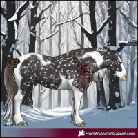 Horse Color:Smoky Black Splash Tobiano Appaloosa