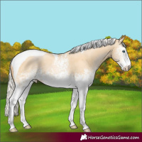 Horse Color:White Spotted Silver Buckskin Pearl Tobiano 
