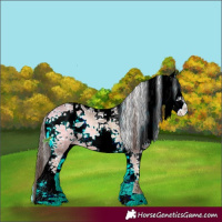 Horse Color:Brown Ice Onyx Mushroom Sabino Appaloosa 