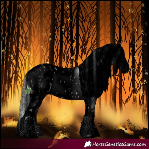 Horse Color:ERROR: UNKNOWN ANOMALY
