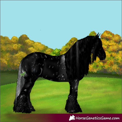 Horse Color:ERROR: UNKNOWN ANOMALY