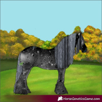 Horse Color:ERROR: UNKNOWN ANOMALY