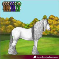 Horse Color:Blue Onyx Ice Sabino
