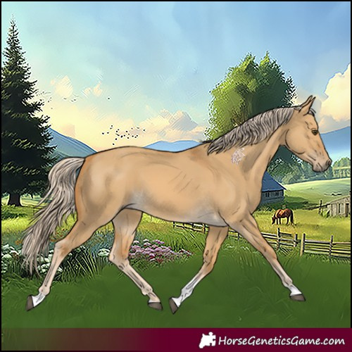 Horse Color:Palomino Dun Tobiano