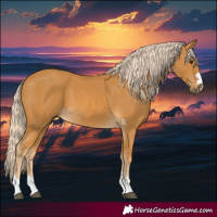Horse Color:Palomino 