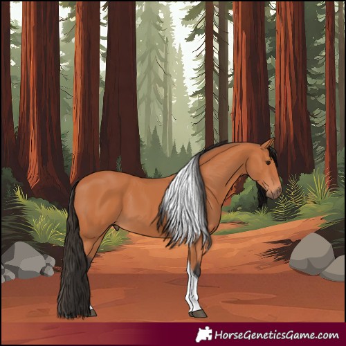 Horse Color:Bay Tobiano 