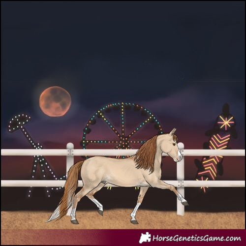 Horse Color:Red Dun Splash 