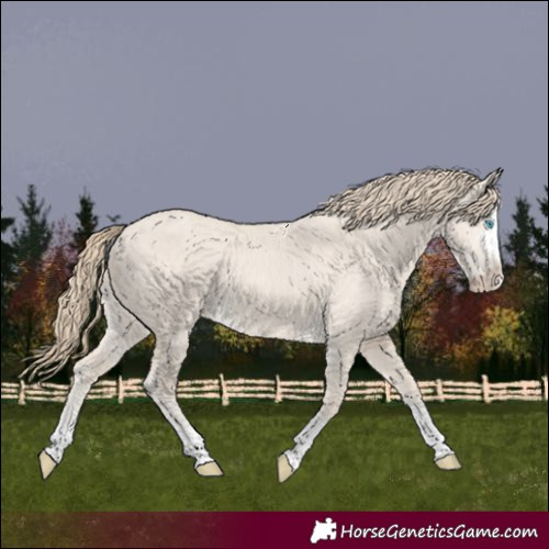 Horse Color:Smoky Creme Dun 