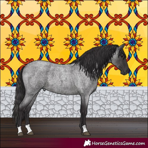 Horse Color:Smoky Blue Roan 