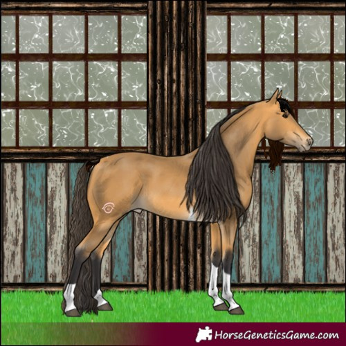 Horse Color:Buckskin Tobiano 