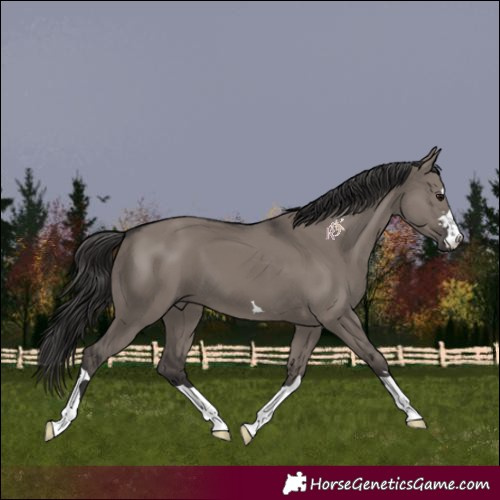 Horse Color:Smoky Grullo 