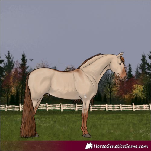 Horse Color:Red Dun 