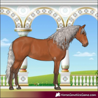 Horse Color:Silver Bay 
