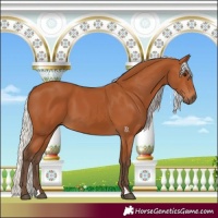 Horse Color:Silver Bay