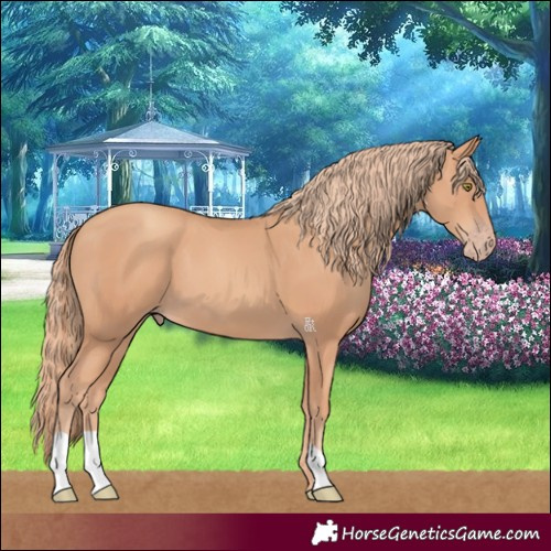 Horse Color:Gold Champagne 