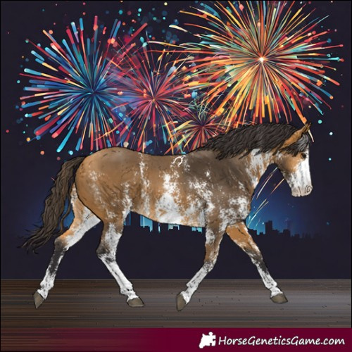 Horse Color:Buckskin Sabino 