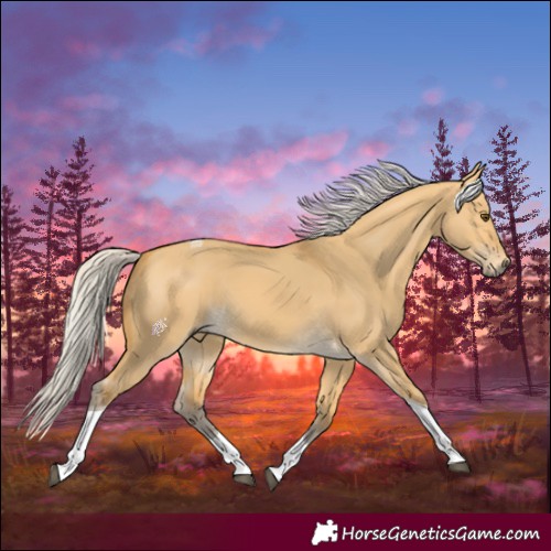 Horse Color:Silver Buckskin Dun Tobiano 
