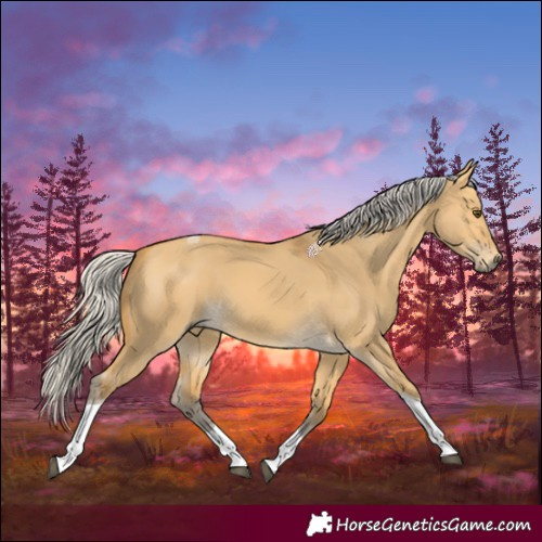 Horse Color:Silver Buckskin Dun Tobiano 
