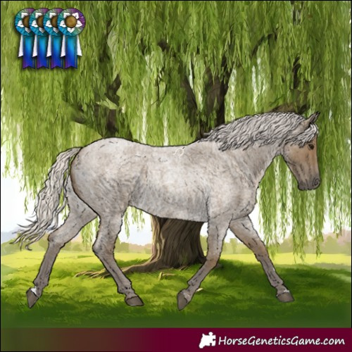 Horse Color:Silver Smoky Blue Roan 