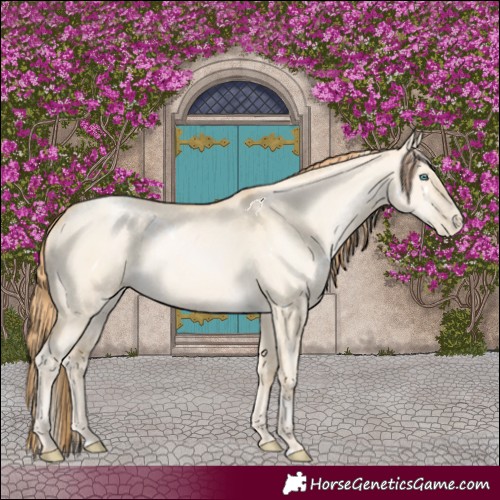 Horse Color:White Spotted Smoky Grullo Pearl 