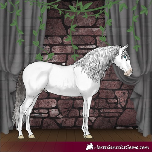 Horse Color:White Spotted Bay Splash 