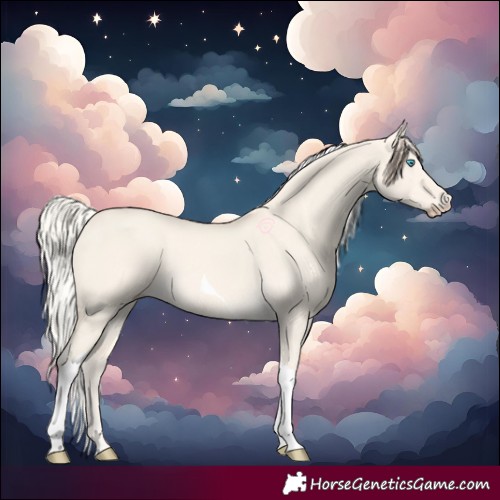 Horse Color:Cremello Dun Tobiano 