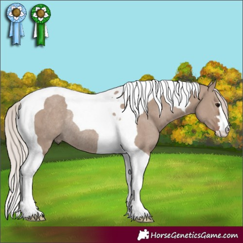 Horse Color:Chocolate Silver Grullo Tobiano Rabicano 