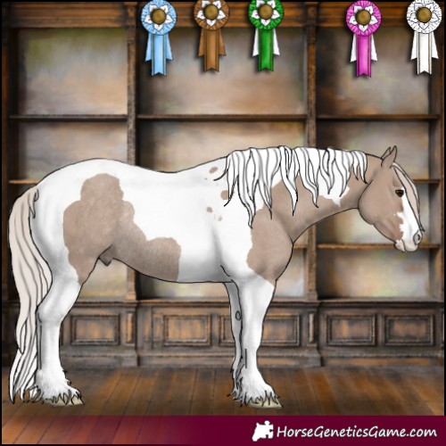 Horse Color:Chocolate Silver Grullo Tobiano Rabicano 