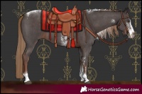 Horse Color:Liver Chestnut Sabino Tobiano 