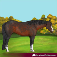 Horse Color:Brown 