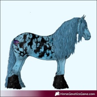 Horse Color:ERROR: UNKNOWN ANOMALY
