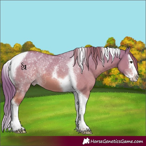 Horse Color:Watercolor Red Dun Splash Tobiano 