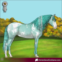 Horse Color:Watercolor White Spotted Sable Champagne Sabino Appaloosa 