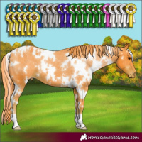Horse Color:Watercolor White Spotted Liver Chestnut Varnish 