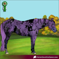 Horse Color:ERROR: UNKNOWN ANOMALY