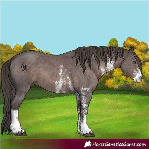 Horse Color:Platinum Liver Chestnut Sabino 