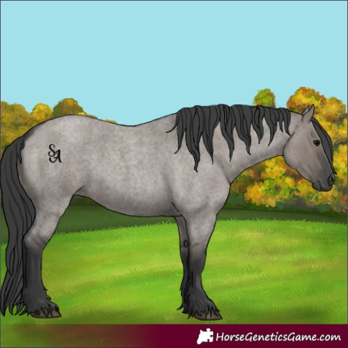 Horse Color:Platinum Grullo Roan 