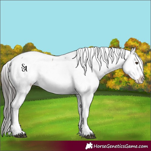 Horse Color:Platinum Liver Red Dun Snowcap 