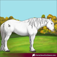 Horse Color:Platinum Liver Red Dun Snowcap 
