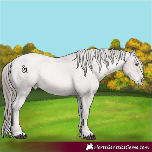 Horse Color:Platinum Liver Chestnut Pearl Appaloosa Rabicano 