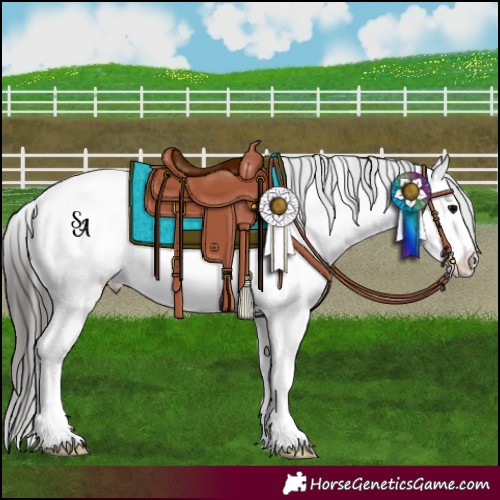 Horse Color:Platinum Black Splash Appaloosa 