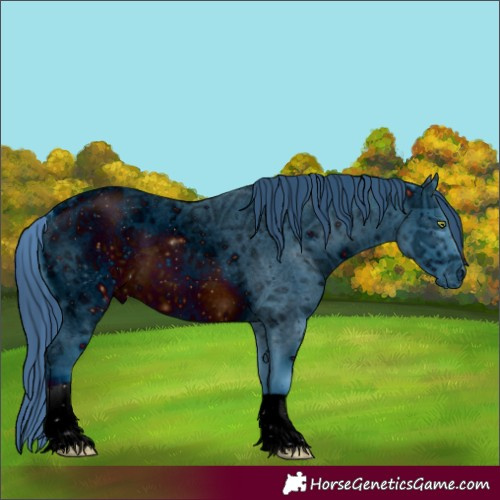 Horse Color:ERROR: UNKNOWN ANOMALY