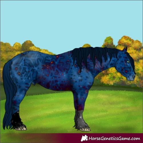 Horse Color:ERROR: UNKNOWN ANOMALY