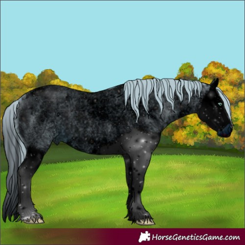 Horse Color:ERROR: UNKNOWN ANOMALY